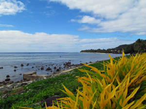 CookIslands/IMG_3125.jpg