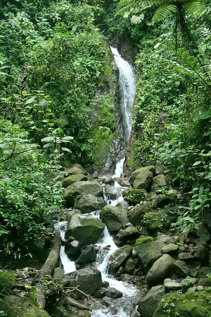 CostaRica/IMG_4310001.jpg