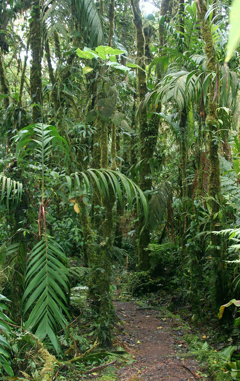 CostaRica/IMG_4310001.jpg