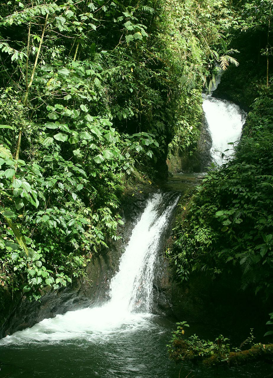 CostaRica/IMG_4310001.jpg
