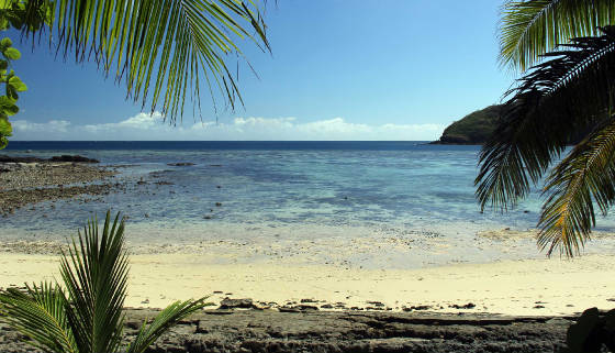 FijiYasawas/IMG_3313e.jpg