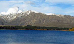 NewZealand/vIMG_0308.jpg