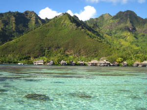 TahitiMoorea/IMG_4932.jpg