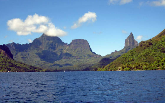 TahitiMoorea/IMG_4986.jpg